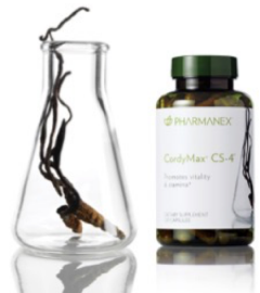 Nu Skin Pharmenex CordyMax CS-4 bottle and mushroom mycelia in a glass beaker.