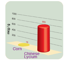 Chinese Lycium