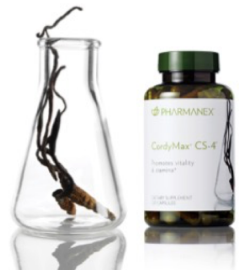6S Quality Process pt 2-2 Nu Skin Pharmenex CordyMax CS-4 bottle and mushroom mycelia in a glass beaker.