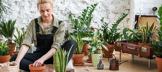 woman in overalls potting plants - by cottonbro on pexels