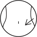 abdomen-icon.png