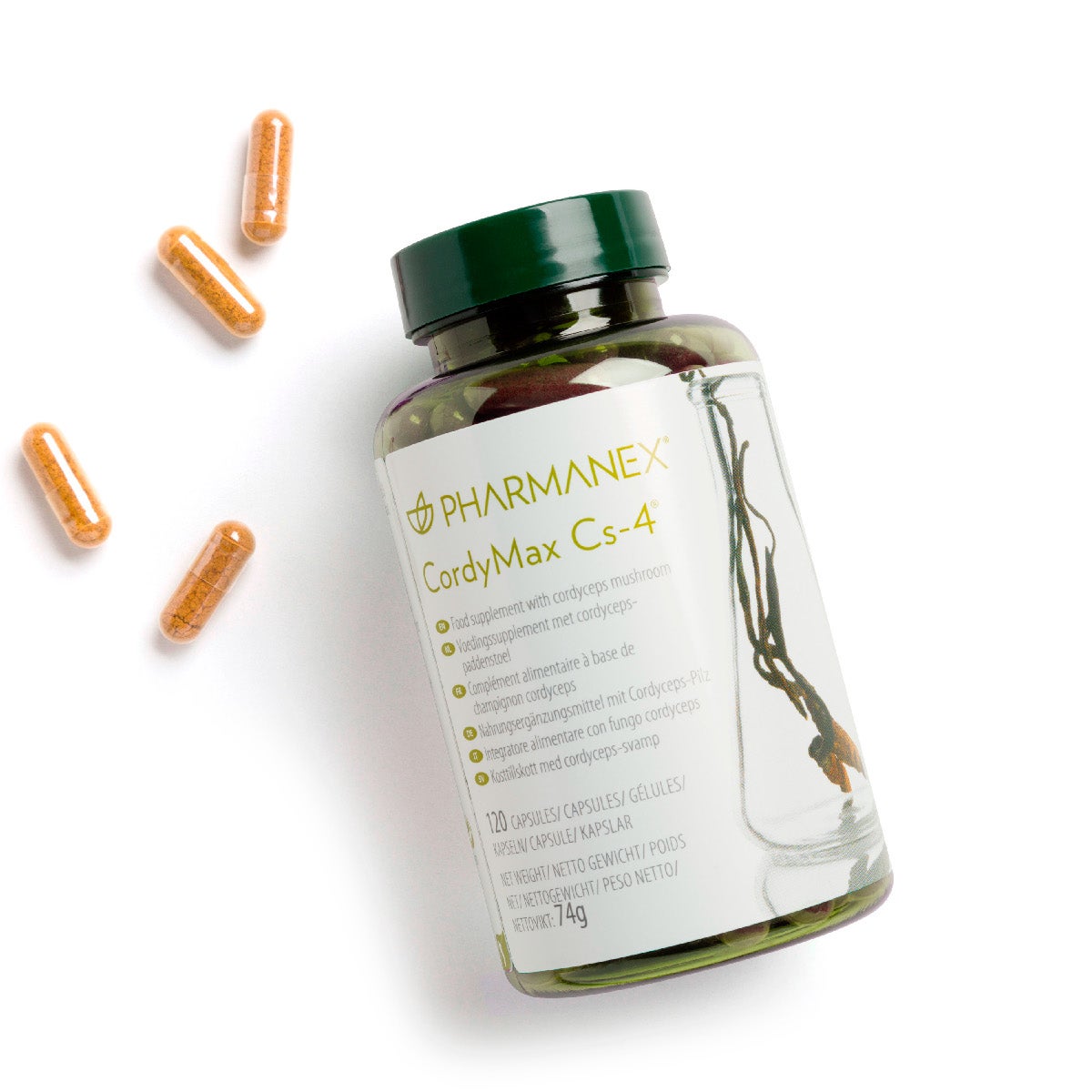 pharmanex-cordymax-cs4-ingredients-lifestyle-image
