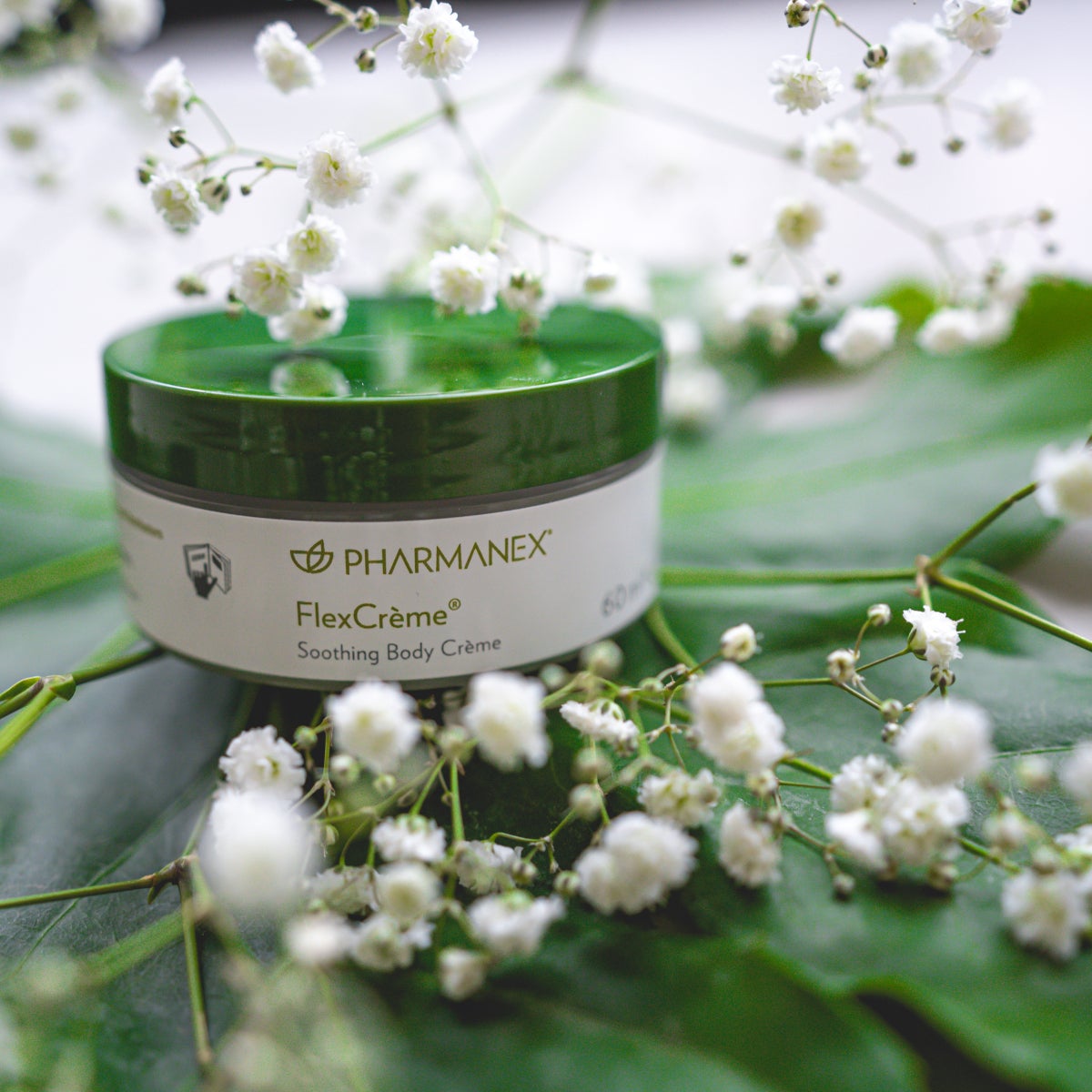 FlexCreme and flowers