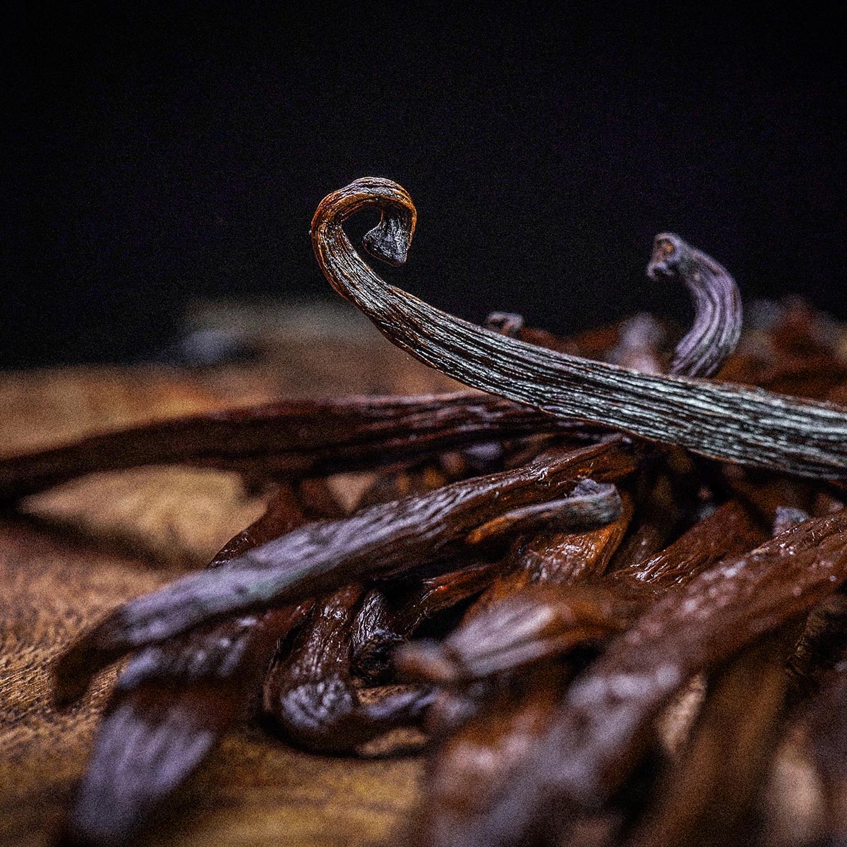 pharmanex-tr90-vshake-vegan-protein-vanilla-ingredient-image