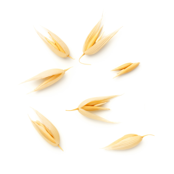 ingredient-oat-kernel.png