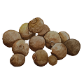 epoch-allspice-ingredients-illustration.png