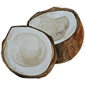epoch-coconut-ingredient-illustration.pn