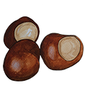 epoch-horse-chestnut-ingredient-illustration.png