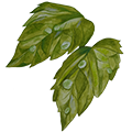 epoch-peppermint-oil-ingredient-illustration.png