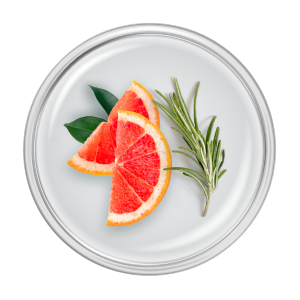 ingredient-grapefruit-rosemary-leaf-extract.png