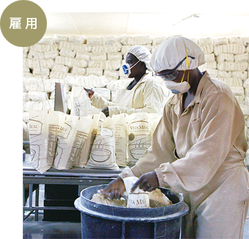 雇用