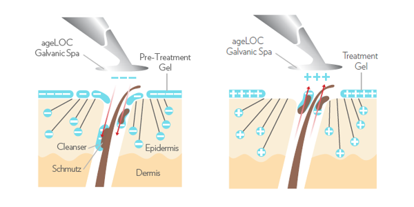 Galvanic Spa Facial Gels with ageLOC Galvanic Spa Facial Gels with ageLOC