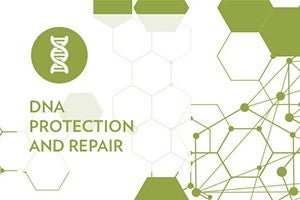 DNA Protection and Repair Mechanisms thumbnail