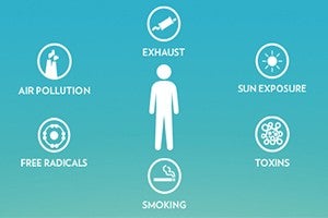 Introduction to Aging Defense Mechanisms (ADMs) thumbnail
