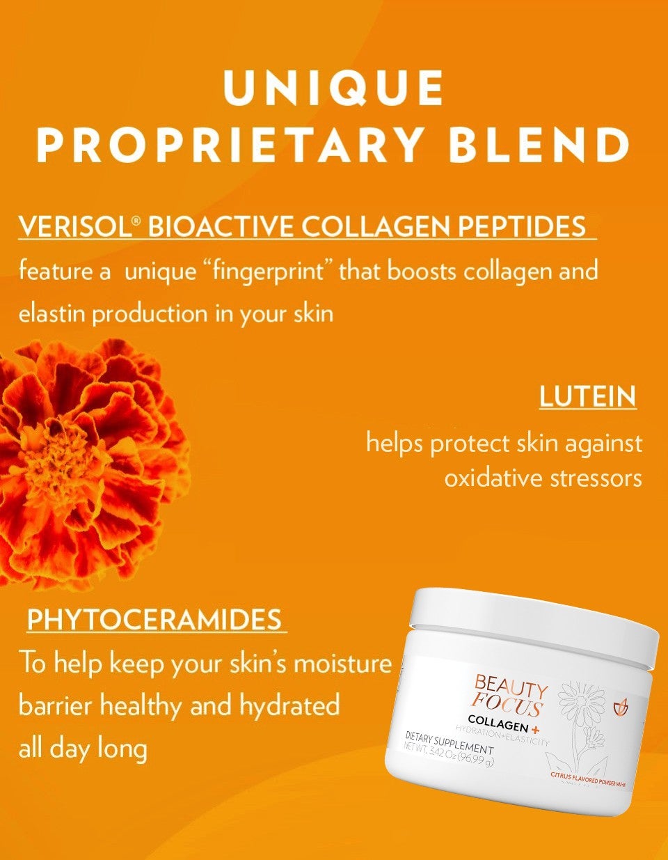 collagen-website-infographic