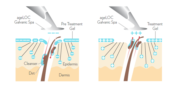 Galvanic Spa Facial Gels with ageLOC Galvanic Spa Facial Gels with ageLOC