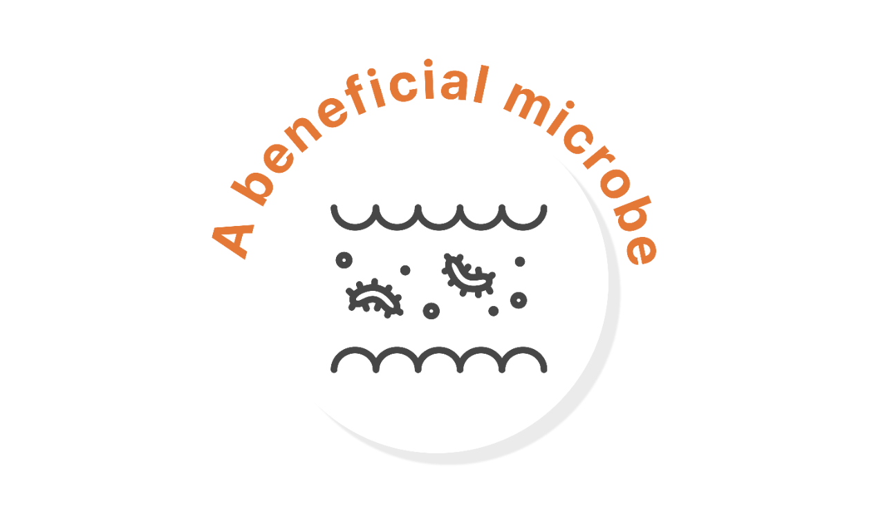 NuBiome_Eng​_Landing-13