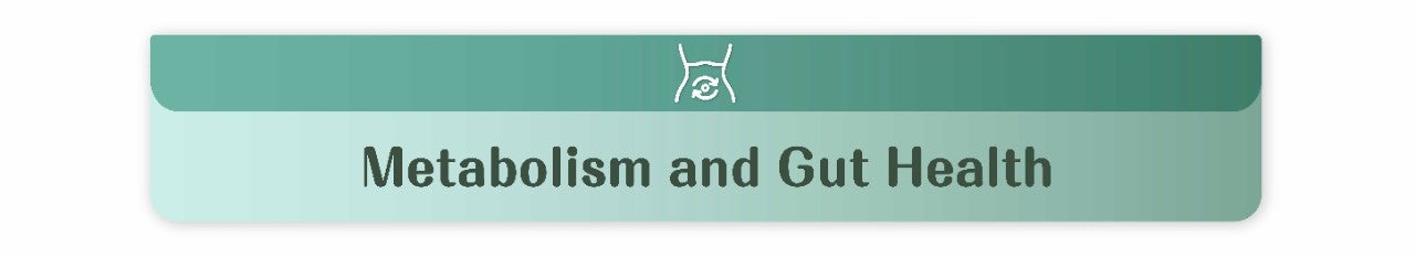 代謝健康學堂 Landing Page_EN