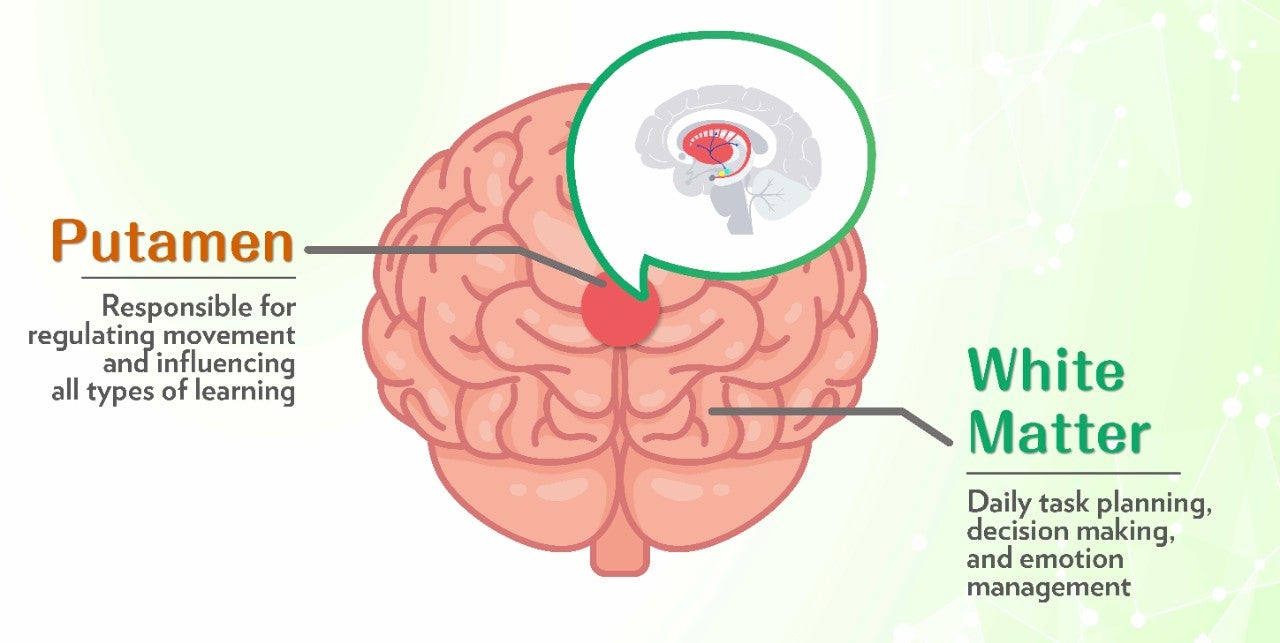 代謝健康學堂 Landing Page_EN