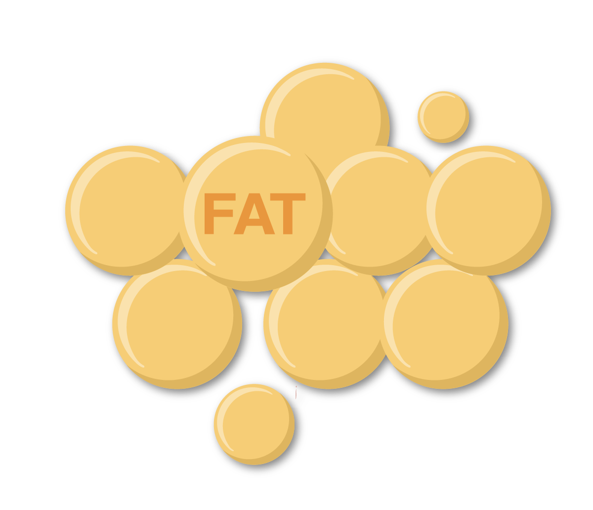 代謝健康學堂 Landing Page-38