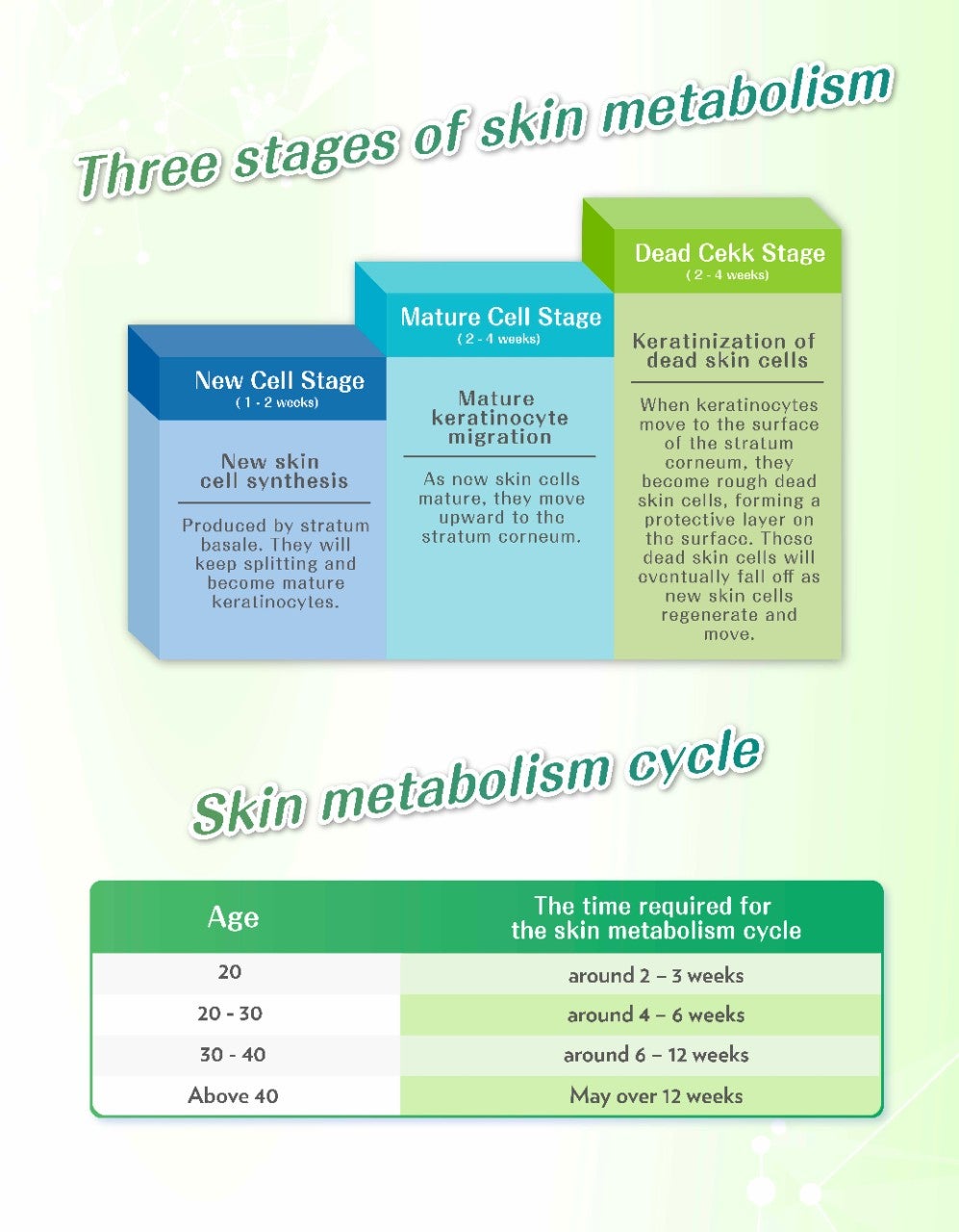 代謝健康學堂 Landing Page_B_EN