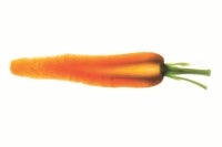 biophotonic-scanner-carrots
