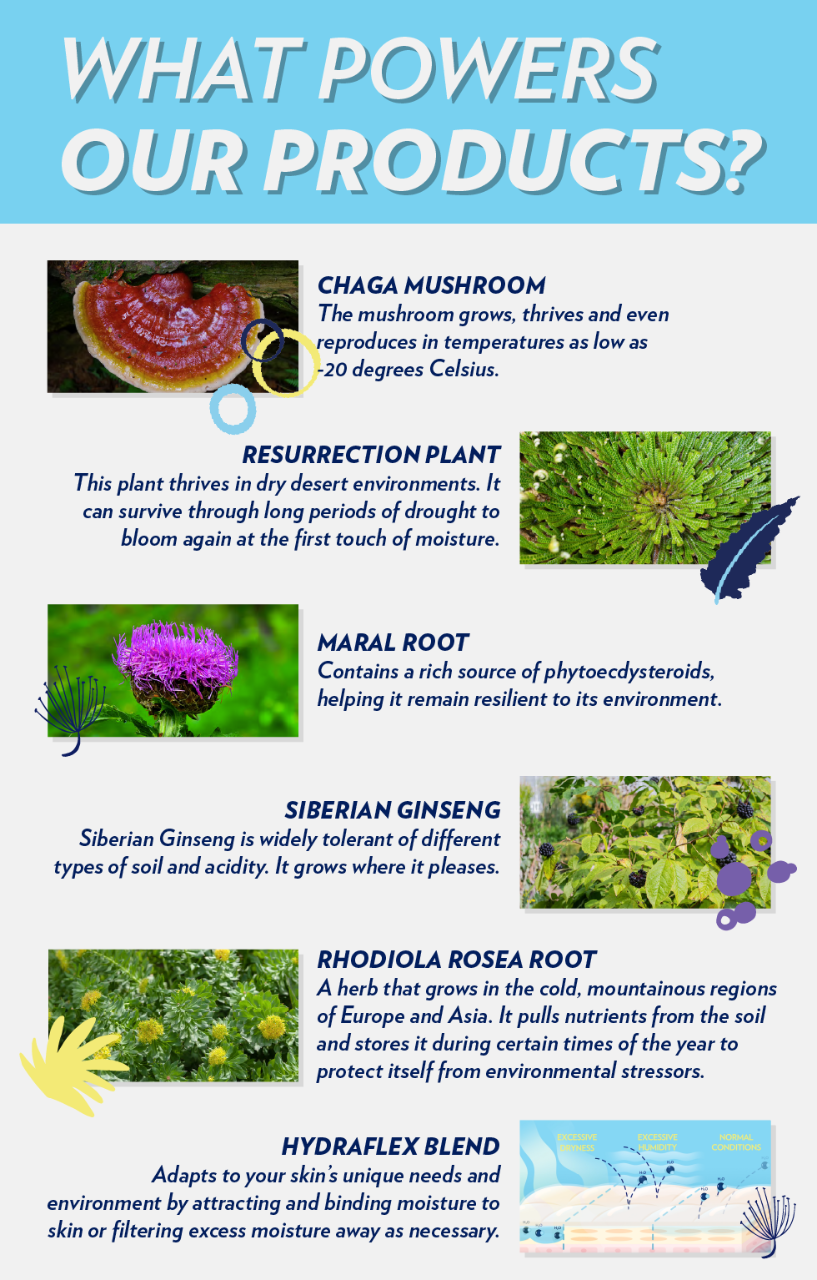 nutricentialsbioadaptiveskincare-banner