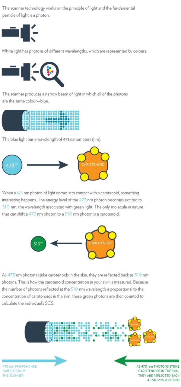 What_Does_The_Scanner_Measure_Diagram