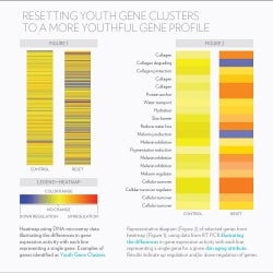 genecluster_chart
