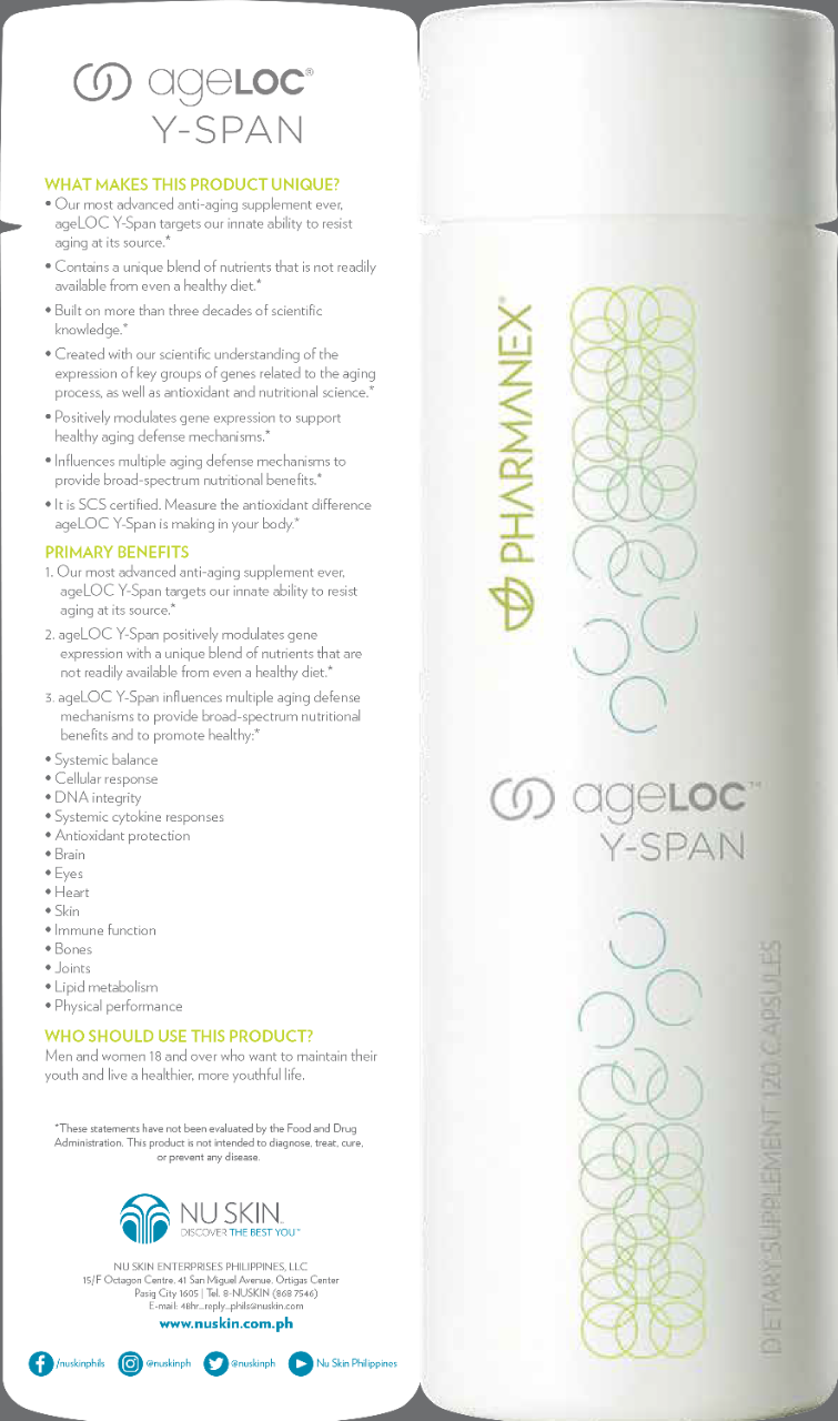 Y-Span folded Brochure copy