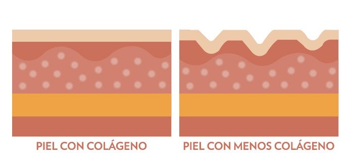 Piel con Colágeno