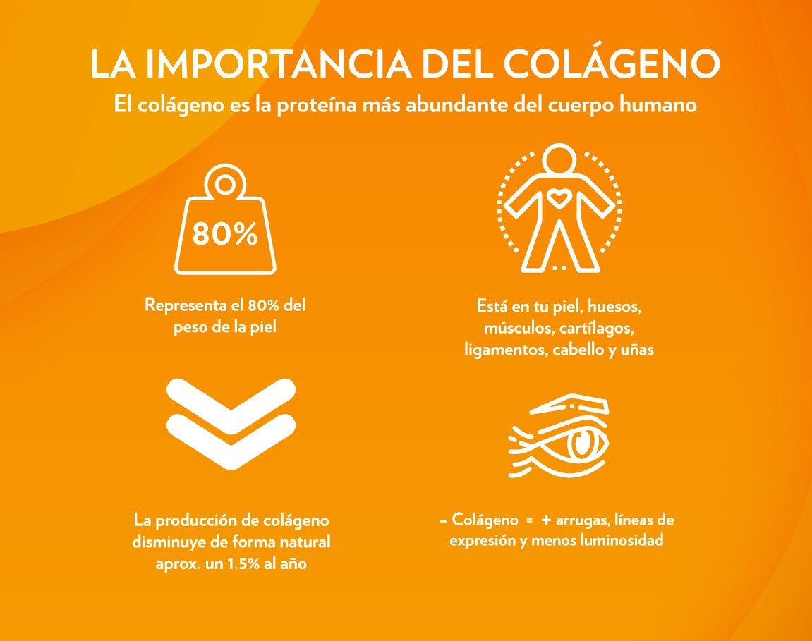 La Importancia de Colágeno