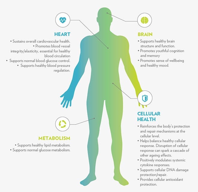 Benefits_Diagram_Updated