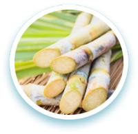 nu-skin-sugarcane-bio-resin