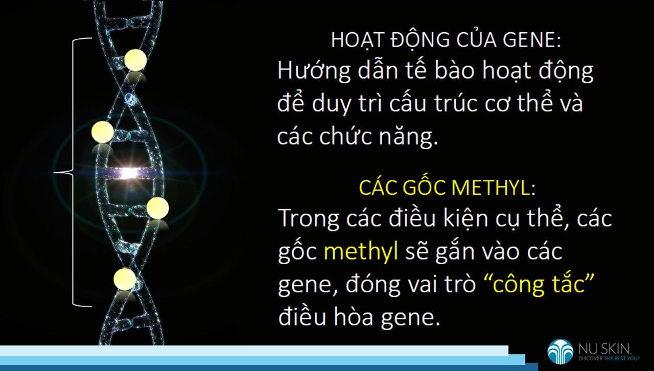 ageLOC-vn-tailieuhuanluyensanpham-8