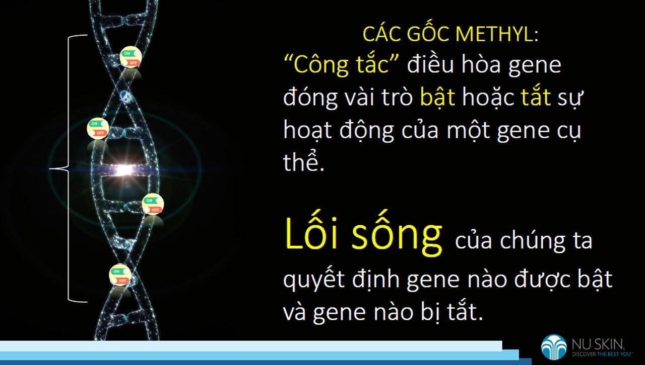 ageLOC-vn-tailieuhuanluyensanpham-9