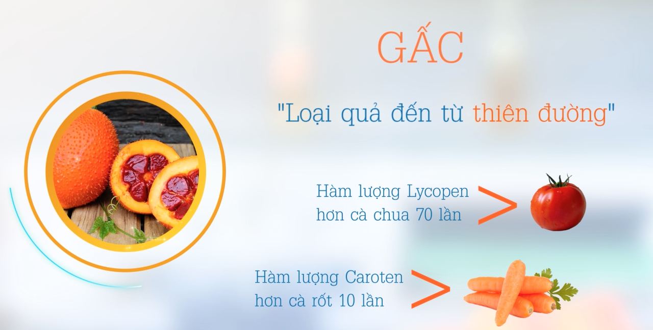 Hình ảnh về gốc tự do và tế bào trên nền xanh đen