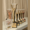 Stevie Award 2013_website