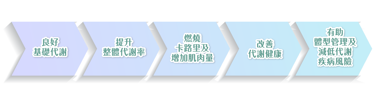 代謝健康學堂 Landing Page-12