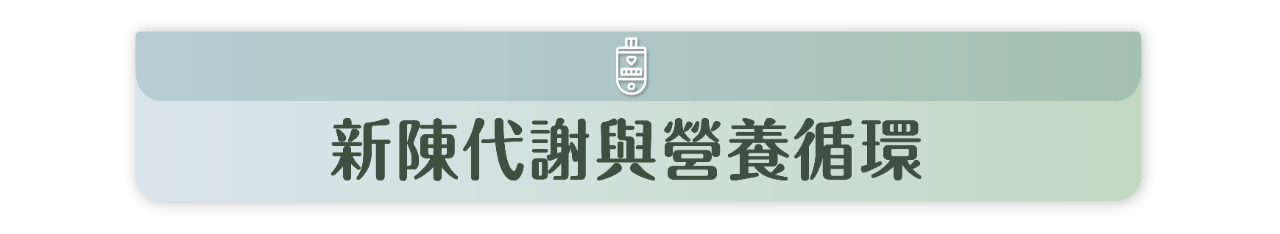 代謝健康學堂 Landing Page-17