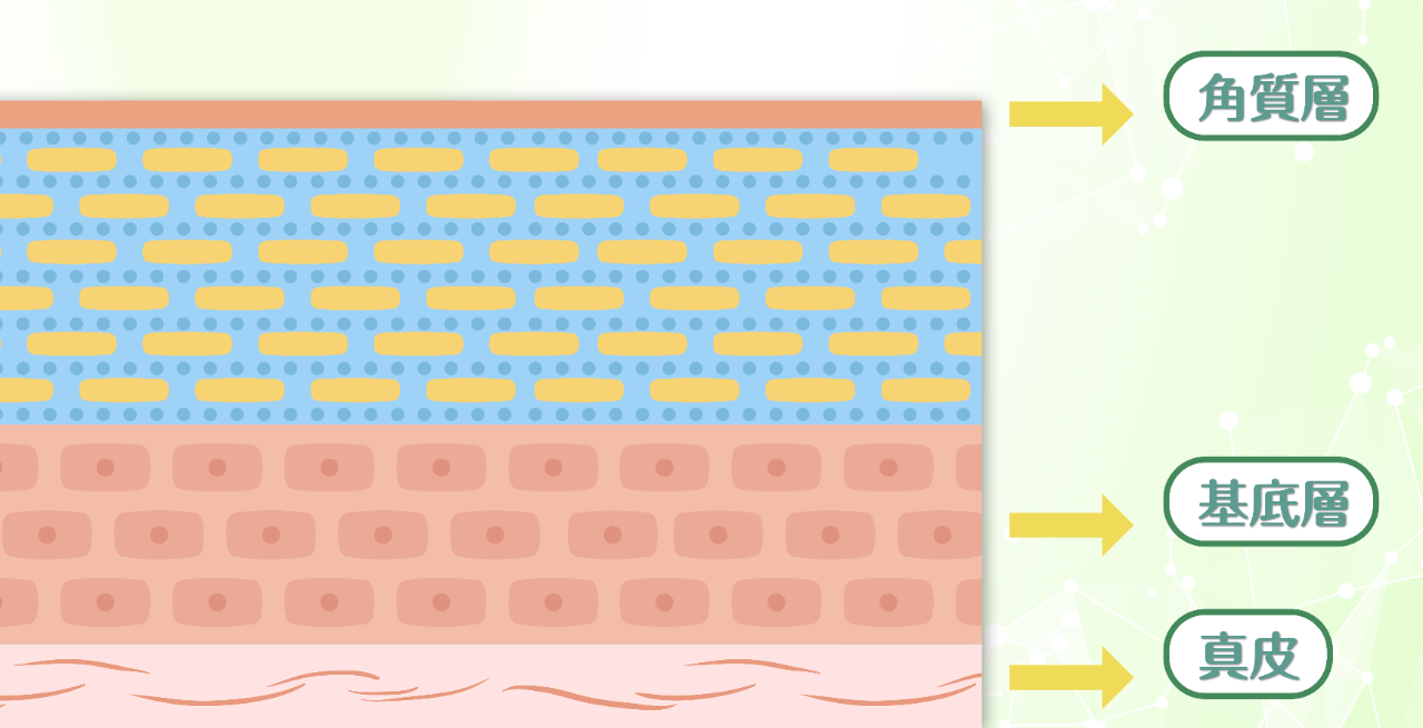 代謝健康學堂 Landing Page_B-02