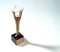Stevies Award