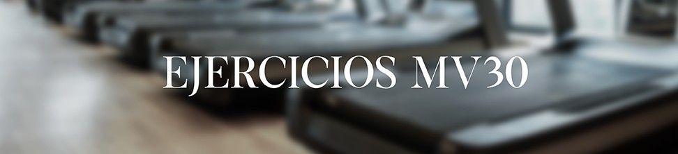 Ejercicios MV30