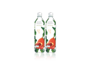 จี3 2 ขวด โปรแกรมส่งต่อเนื่อง สเปเชี่ยล | G3 Juice Bottle 2pk Special ARO