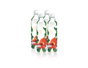 G3 Juice 4pk Special ARO | จี 3 4 ขวด โปรแกรมส่งต่อเนื่อง สเปเชี่ยล